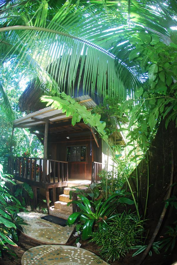Red Frog Bungalows Surf Resort Bastimentos Exterior foto